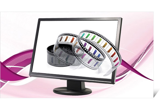 Servizi di Video Streaming e Live Webcasting